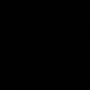 Meet your Posher, Danaya